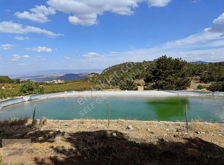 Self'den Honazda 35 Dönüm Kiraz Bahçesi / Bahçe Evi