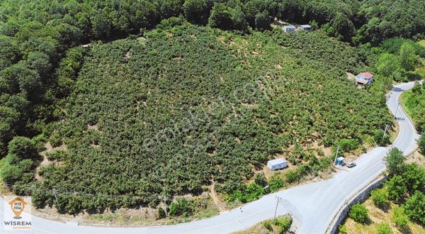 Kocaeli İzmit Akmeşe Köyü Yola Cephe Satılık Tarla