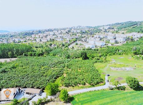 Düzcede Yatırımlık Mücavir Alanda 5460m2 Satılık Fındık Bahçesi!