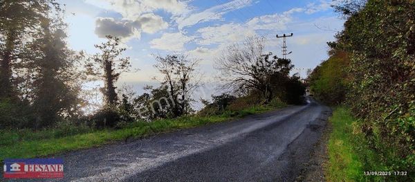 Perşembe Okçulu Da Ev'lik Arazi