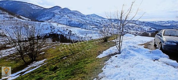 2246m² Yol Kenarı Satılık Tarla Düzce Yığılca Doğanlar Köyü