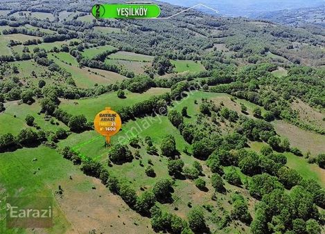 3100m2 2 Adet Müstakil Tapu Fırsatı!