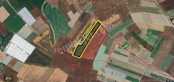 Baylan's Gayrimenkul Den Bayralar Mahallesinde Satılık 7.500 M² Fırsat Tarla