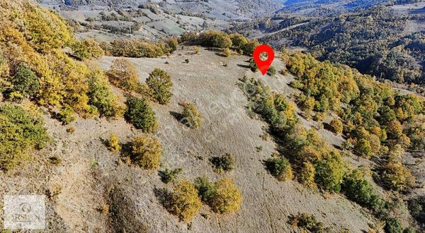 Büyük Tarla Arayanlara Merkezi Konumda Uygun Tarla