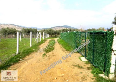 Torbalı Taşkesik | Köyiçi İmarlı Hisse Tapulu 336 M2 | Bahçe