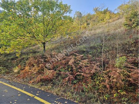 Geyve Koru Mahallesi’nde Doğa Manzaralı İmar Dibi Arsa!