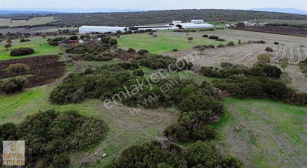 Uygun Fiyatlı Tarla Acil..