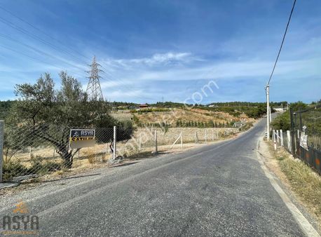 Ana Cadde Üzeri/araç Takasına Uygun/resmi Hisse Tapulu Arazi ***