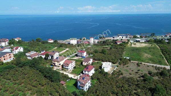 Z Grup Fatsa Yenipazar Mah Deniz Manzaralı Villa Arsası