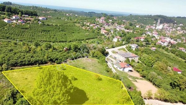 Kocaali'de Köy İçinde Doğa Manzaralı Satılık Arsa