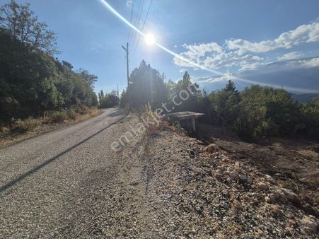 Erdoğan Emlak'tan Hayalinizdeki Doğal Yaşam Alanı