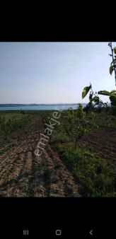 Yok Bu Fiyata Sarıçam Karaömerli Göl Manzaralı 10dönüm İçinde 1+1daire Var Pazarlıksız Takas Olur