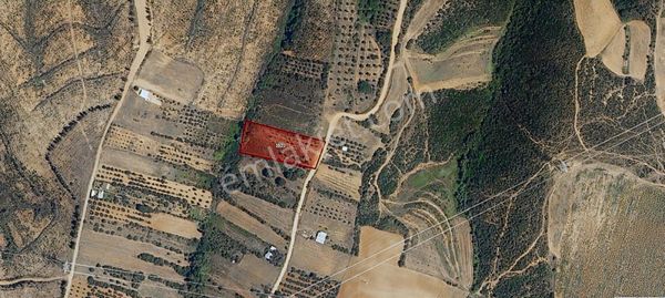 Bursa Karacabey Muratlı'da Yatırımlık 3.747 M² Fırsat Tarla!