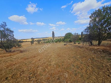 Keşan Şabanmera Köyünde Satılık Arsa