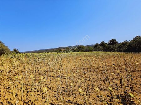 Keşan Dişbudak Köyünde Satılık Tarla
