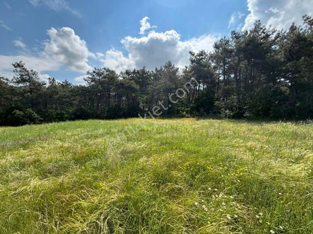 Satılık Bağ Keşan Dişbudak Köyü