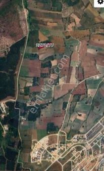 Bursa / Nilüfer / Özlüce / Yatırımlık Satılık Tarla