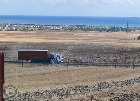 Çeşmelide Deniz Manzaralı Satılık 250 Ve 500 Metre Uygun Arsalar