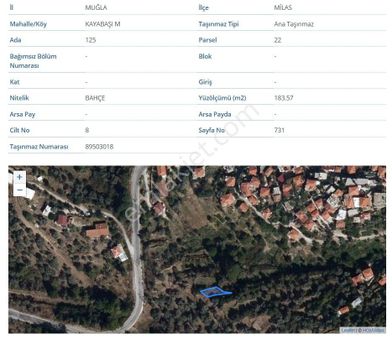 Milas Kayabaşı Mah Satılık Bahçe