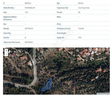 Milas Kayabaşı Mah De Satılık Ze