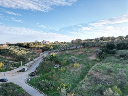 Beyaz Gayrimenkulden Karaoğlanlı Mh Fırsat 2.500 M2 Tarla