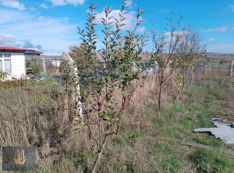 Çatalca İzzettin'de Köy Yerleşimine Yakın Konumda Satılık Tarla