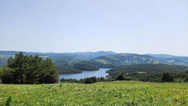 Remax Canbek Tarba-yeşilin Ve Mavinin Her Tonunu