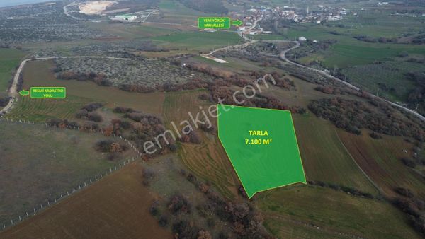 Ulucan'dan İnegöl Yeni Yörük'te Satılık Fırsat Tarla