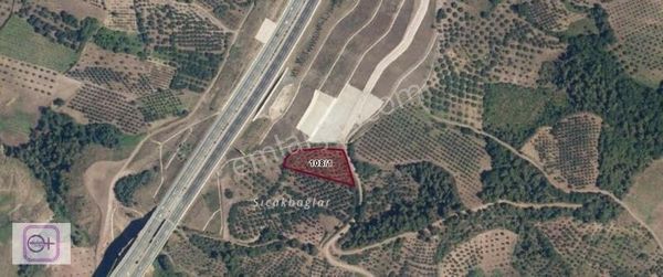 Violetten Satılık Bursa Selçukgazi Otoban Yanı 3456 M2 Arazi