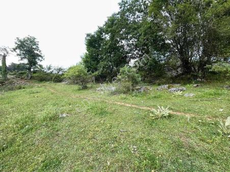 K2 Pera Mustafakemalpaşa Sarımustafa Lar Mahallesi 6051 M2 Tarla