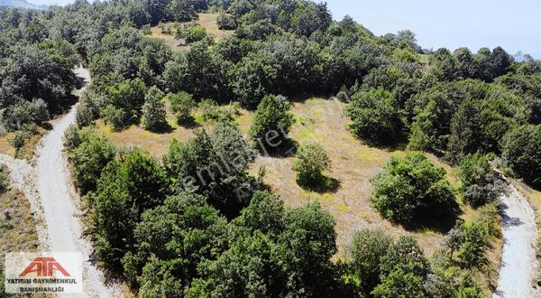 Mudurnu Dereköyde İki Kadastrol Yol Arası Yollu Arazi