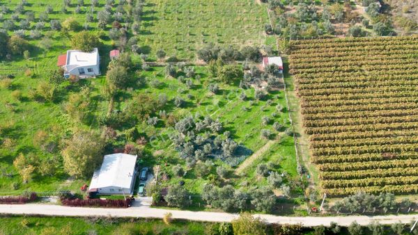 Kemalpaşa Aşağıkızılca’da Satılık Bağ Ve 2+1 Bağ Evi