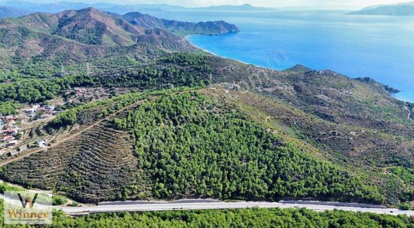 Winner- Datça Emecik+ Köy Merkezine Ve Yola Yakın+ Fırsat Arazi!