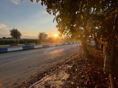Salihli Erdem Emlak’tan – Adala Mahallesi’nde Yol Üzeri Satılık Arsa