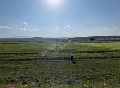 Hatunsaray Yoluna Cephe Müstakil 2.200 Metre Suyu Mevcut Tarla!
