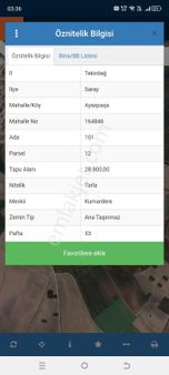 🌟 Satılık Tarla – Tekirdağ / Saray / Ayaspaşa Köyü 🌟