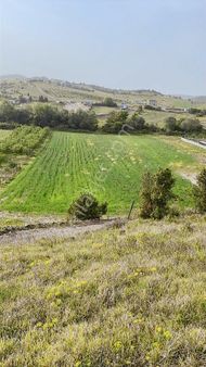 Ağva'ya Komşu Kandıra/yağcılar Yol Üstü 2.450.000₺