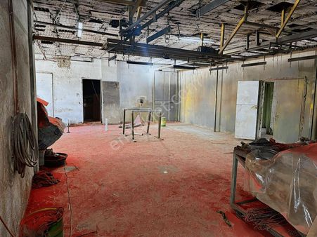 300 M2 Düz Giriş Fabrika - Depo 65.000 ₺
