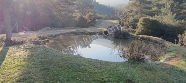 Ahmetli Alahıdır'da//7209m2 Tektapu/içinde Doğalgöleti Olan Bağ