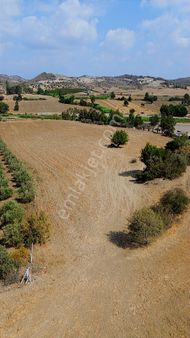 3ev Emlak'tan Fadıl Da Asfalt Yol Üzeri Tek Tapu Arazi