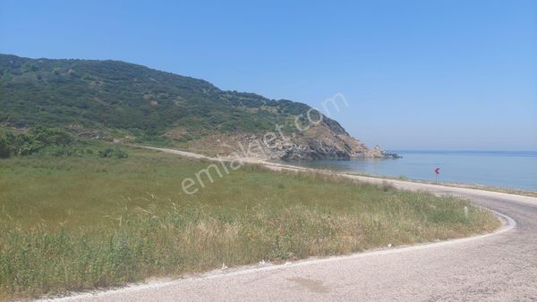 Çayagzında 6 Dönüm Asfalta Cephe Tarla