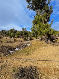 Ay Emlaktan Burhaniyede Yola Sıfır Kupon Arazi