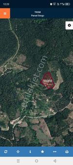 --- Yatırımlık Tarla! Geyve Güney Mahallesi'nde 9.782 M²