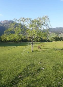 Balıkesir Dursunbey Delicede Yatırımlık Bahçe Uygun Fiyatlı