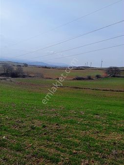 Bandırma Eriklide 18.386 M² Yatırımlık Tarla!