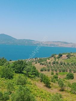 Bandırma Dutlimanda Deniz Manzaralı 2 Dönüm Yatırımlık Tarla