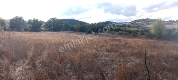 İvrindi Çukurlarda Yol Cepheli 5323 M² Verimli Tarla