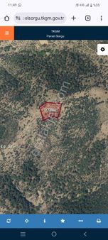 Ay Emlak'tan Burhaniyede 11682 M Tarla