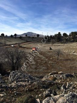 Seydikemer Çabanisa'da 28 Adet Ceviz Ağacı,konteyner,su Deposu Olan, 1660m2 Yatırımlık Tarla