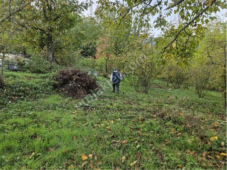 Sakarya Geyve Koru Mah. %40 Konut İmarlı 171m2 Arsa